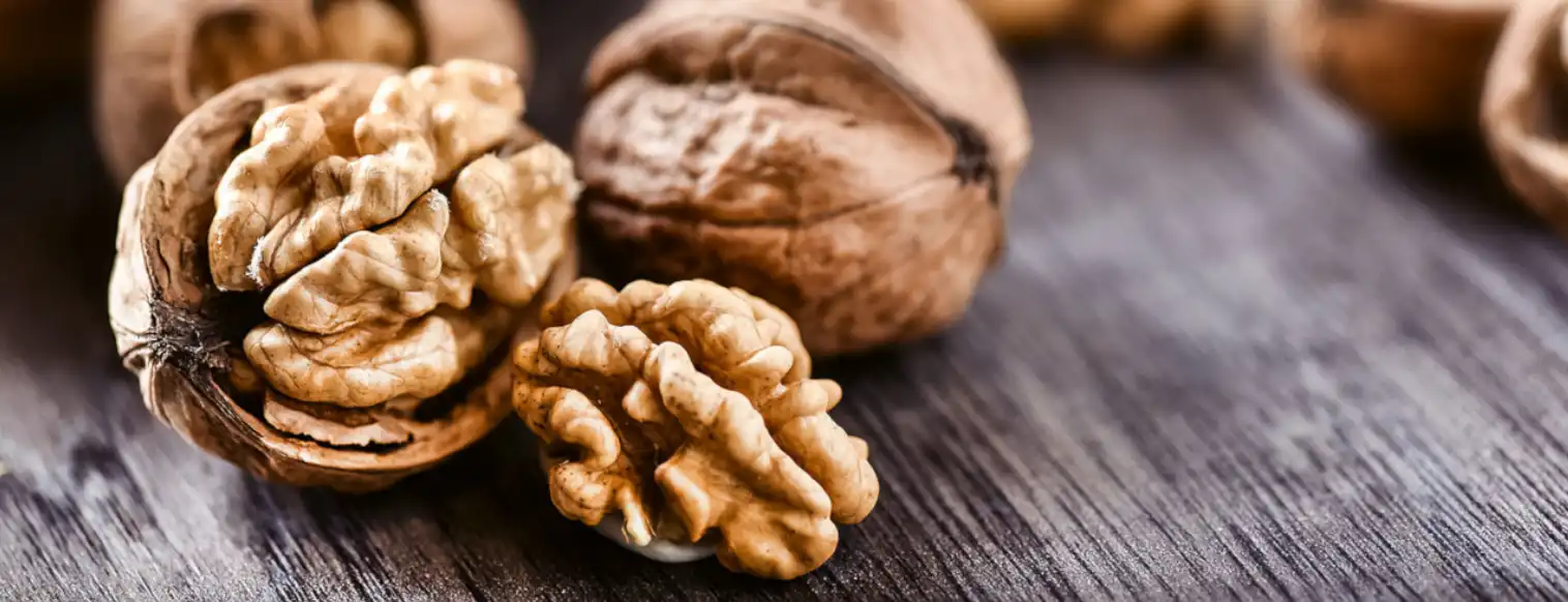 Ceviz kalp ve beyin sağlığını destekliyor